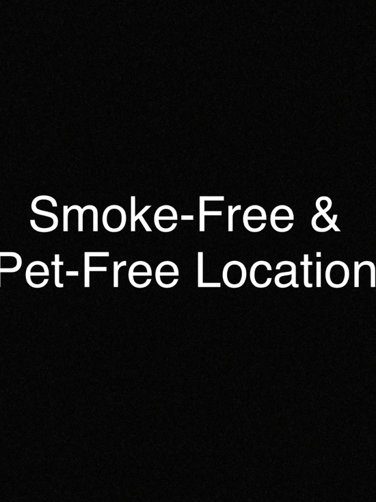 NEW Talbots Pants Womens 6 petite black tan floral paisley Hampshire straight - Picture 10 of 10